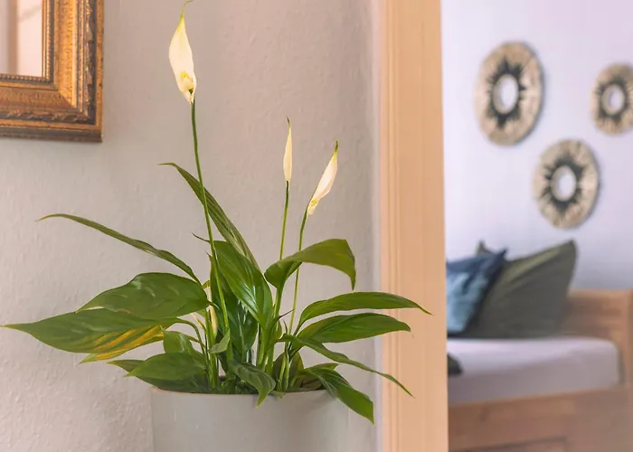 Am Schlossplatz Apartment Wolfegg